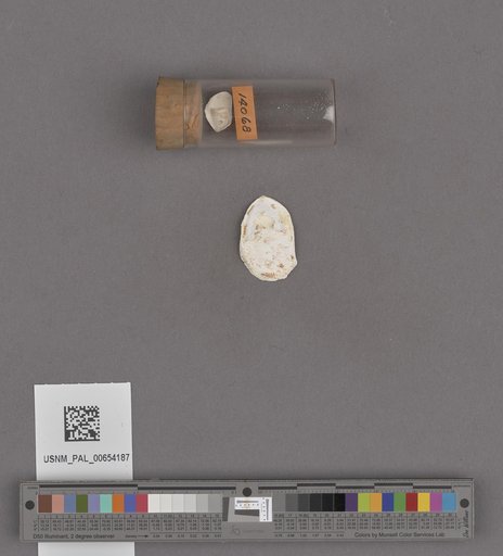 NSF ADBC EPICC TCN