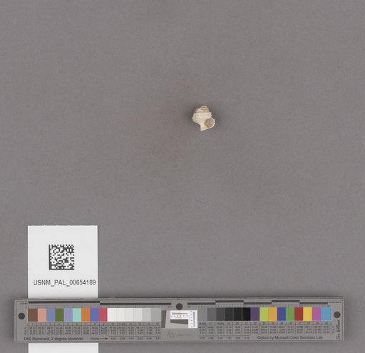 NSF ADBC EPICC TCN