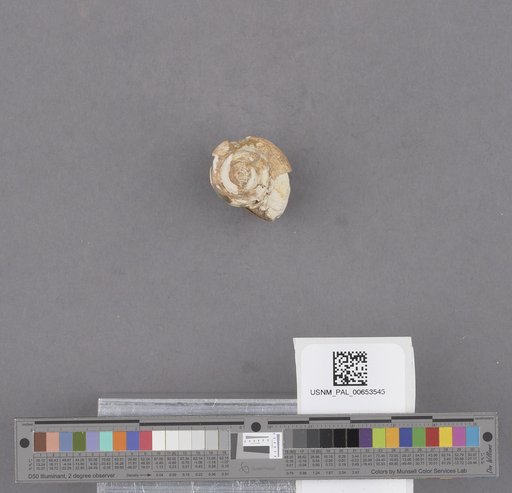 NSF ADBC EPICC TCN