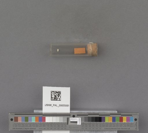NSF ADBC EPICC TCN