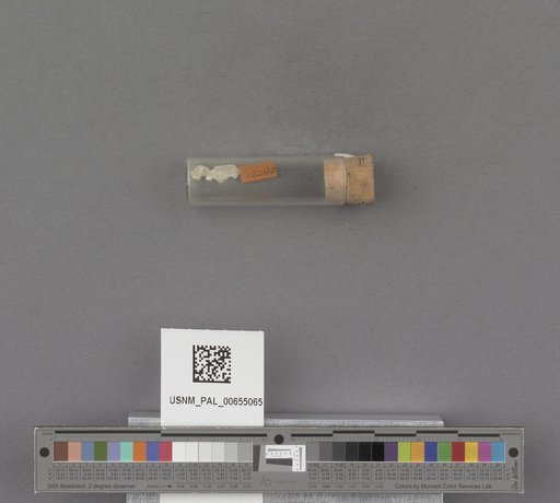 NSF ADBC EPICC TCN