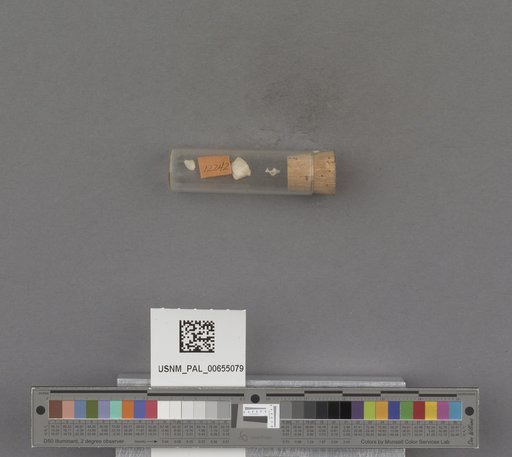 NSF ADBC EPICC TCN