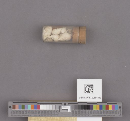 NSF ADBC EPICC TCN