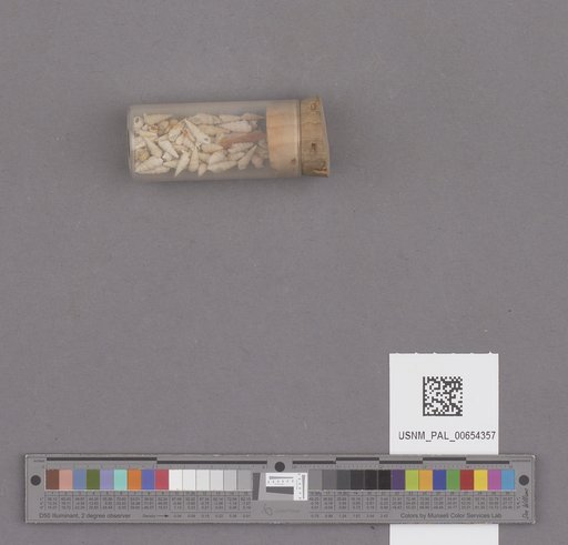 NSF ADBC EPICC TCN