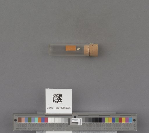 NSF ADBC EPICC TCN