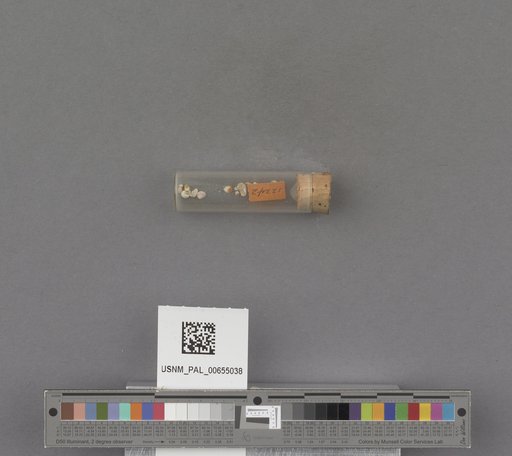 NSF ADBC EPICC TCN