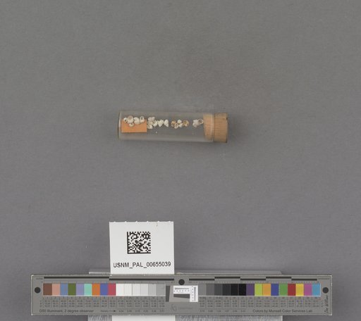 NSF ADBC EPICC TCN