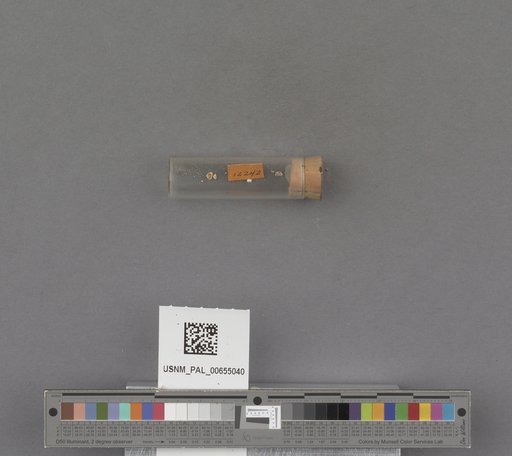 NSF ADBC EPICC TCN