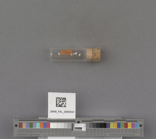 NSF ADBC EPICC TCN