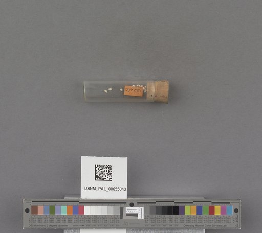 NSF ADBC EPICC TCN
