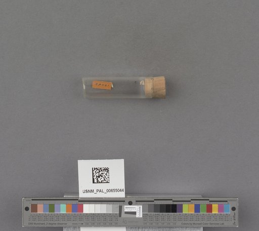 NSF ADBC EPICC TCN