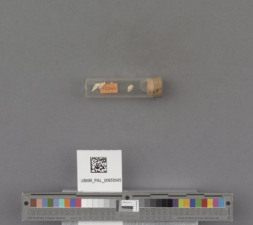 NSF ADBC EPICC TCN