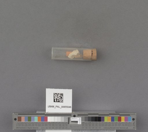 NSF ADBC EPICC TCN