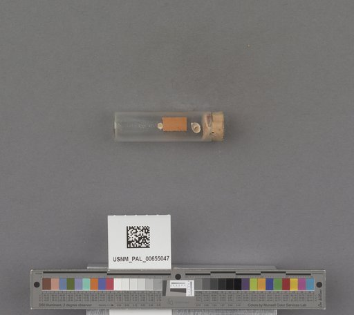 NSF ADBC EPICC TCN