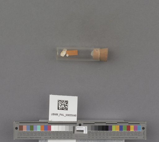 NSF ADBC EPICC TCN