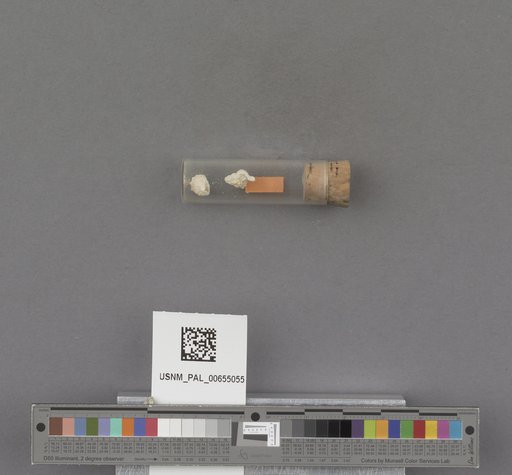 NSF ADBC EPICC TCN