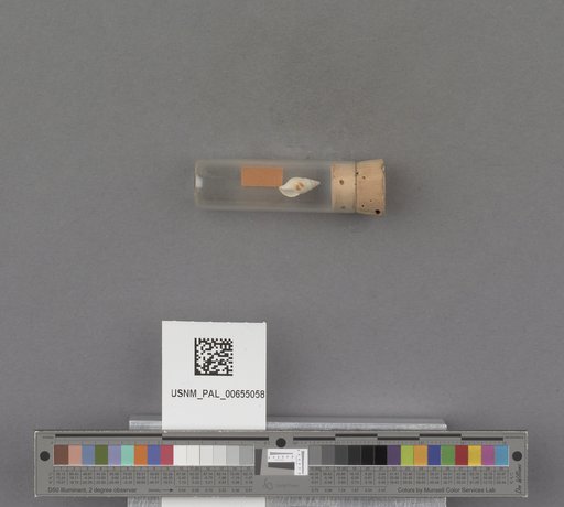 NSF ADBC EPICC TCN