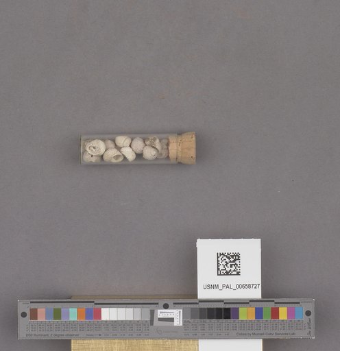 NSF ADBC EPICC TCN