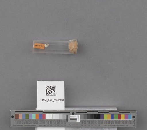 NSF ADBC EPICC TCN