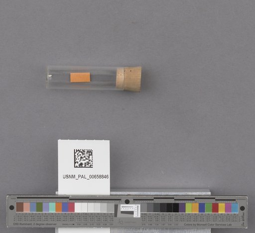 NSF ADBC EPICC TCN