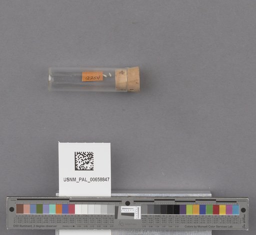 NSF ADBC EPICC TCN