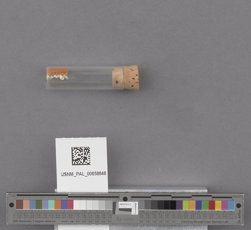NSF ADBC EPICC TCN