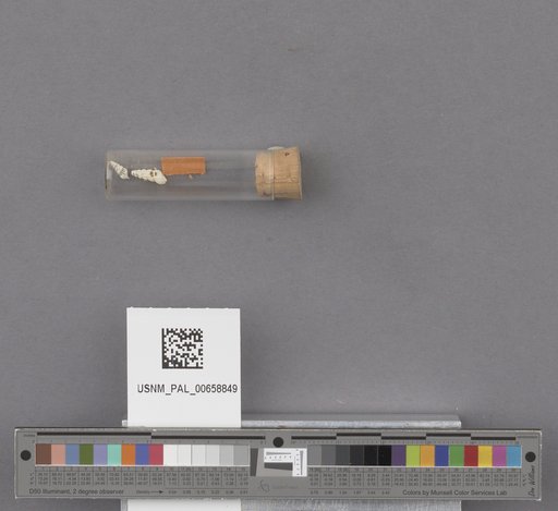 NSF ADBC EPICC TCN