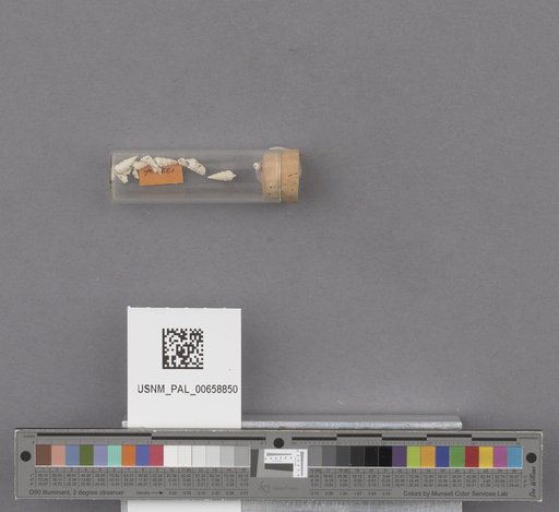 NSF ADBC EPICC TCN