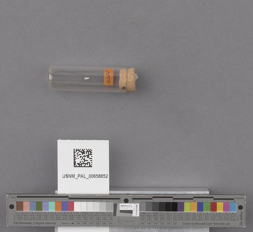 NSF ADBC EPICC TCN