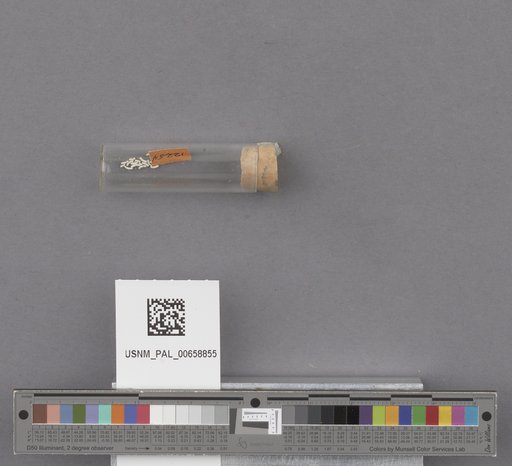 NSF ADBC EPICC TCN