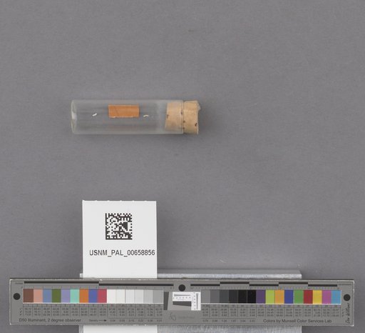 NSF ADBC EPICC TCN