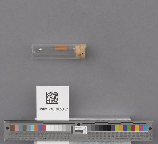 NSF ADBC EPICC TCN