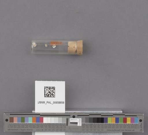 NSF ADBC EPICC TCN