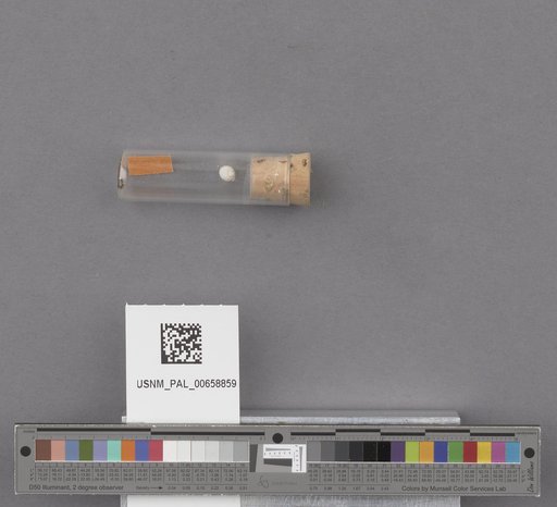NSF ADBC EPICC TCN