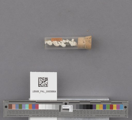NSF ADBC EPICC TCN
