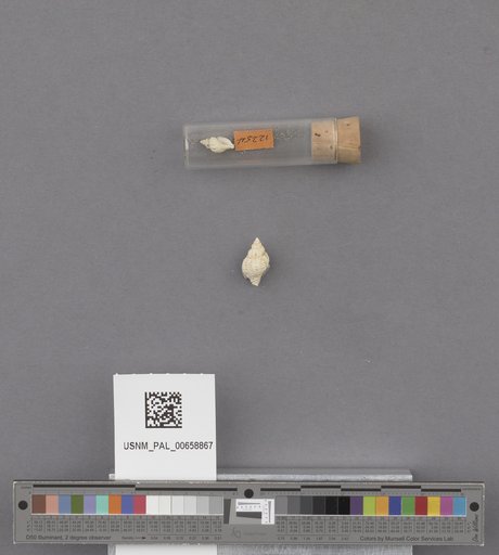 NSF ADBC EPICC TCN