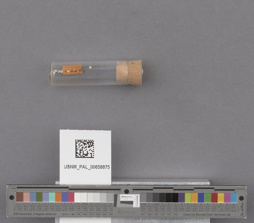 NSF ADBC EPICC TCN
