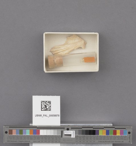 NSF ADBC EPICC TCN