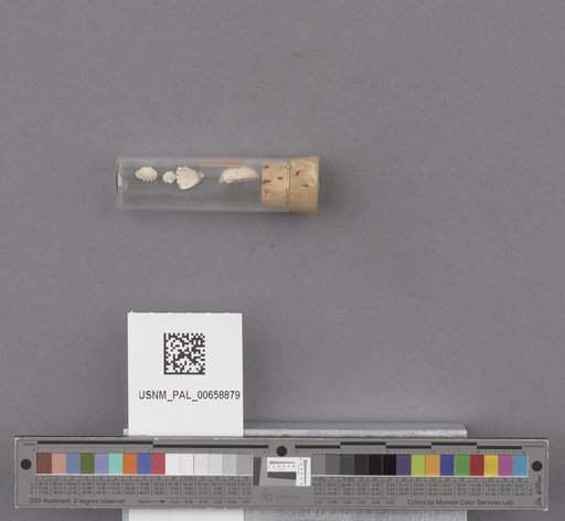 NSF ADBC EPICC TCN