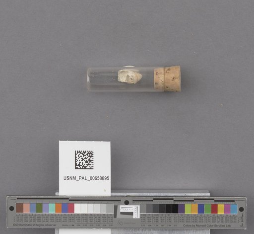 NSF ADBC EPICC TCN