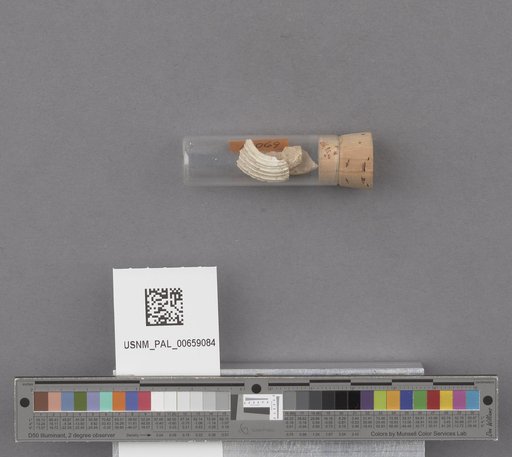 NSF ADBC EPICC TCN