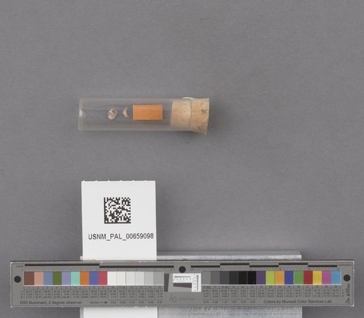 NSF ADBC EPICC TCN