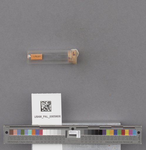 NSF ADBC EPICC TCN