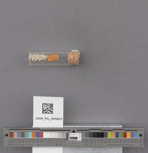 NSF ADBC EPICC TCN