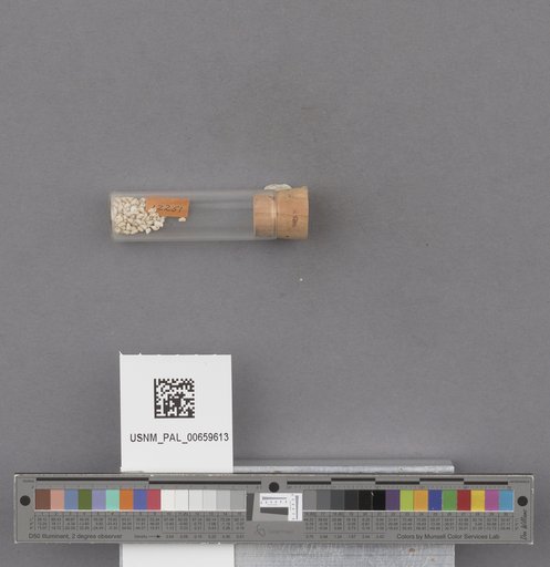 NSF ADBC EPICC TCN