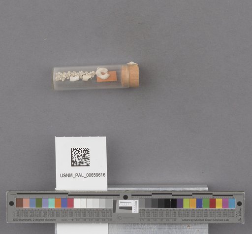 NSF ADBC EPICC TCN