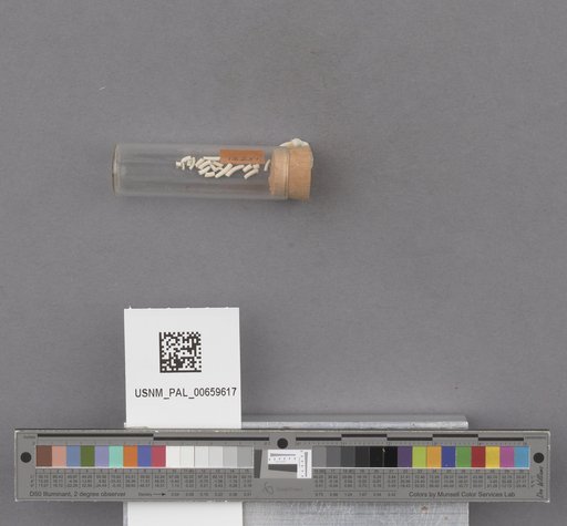 NSF ADBC EPICC TCN