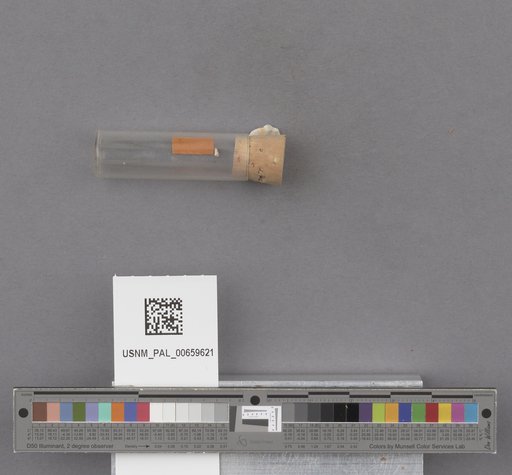NSF ADBC EPICC TCN
