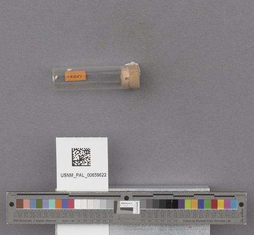 NSF ADBC EPICC TCN