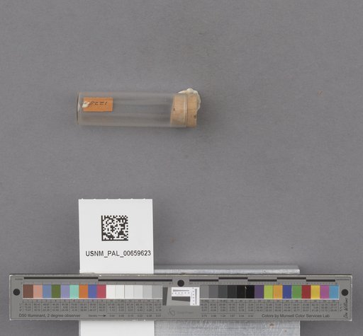 NSF ADBC EPICC TCN